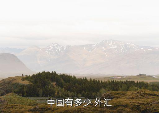 中國(guó)有多少 外匯