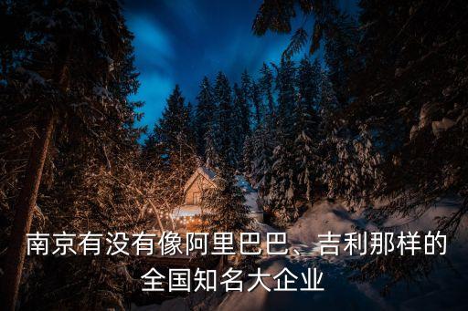  南京有沒有像阿里巴巴、吉利那樣的全國知名大企業(yè)