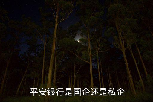 中國平安是什么性質的企業(yè)