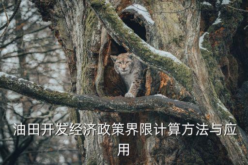  油田開發(fā)經濟政策界限計算方法與應用