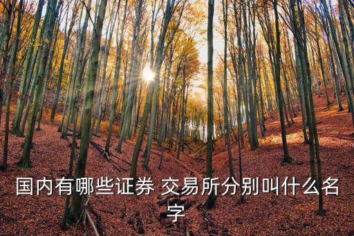 中國(guó)有幾個(gè)股票交易市場(chǎng),全球有幾個(gè)股票交易市場(chǎng)
