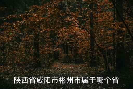 彬長集團小莊煤礦