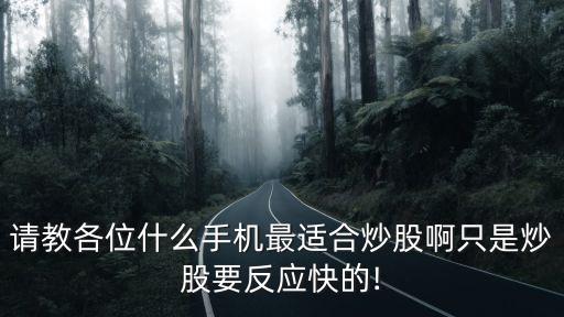 請教各位什么手機最適合炒股啊只是炒股要反應(yīng)快的!