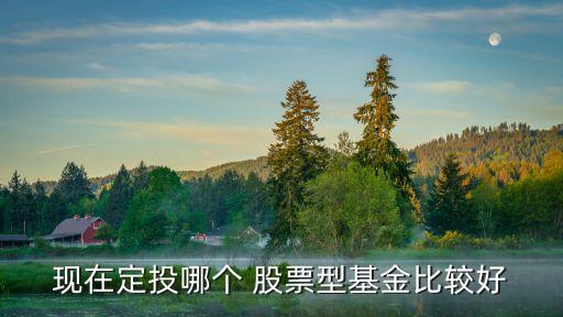 現(xiàn)在定投哪個(gè) 股票型基金比較好