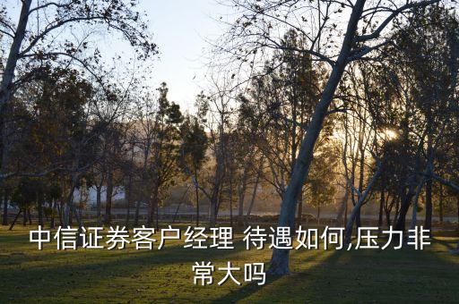 中信證券客戶(hù)經(jīng)理 待遇如何,壓力非常大嗎