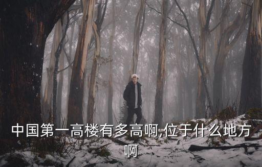 中國(guó)第一高樓有多高啊,位于什么地方啊