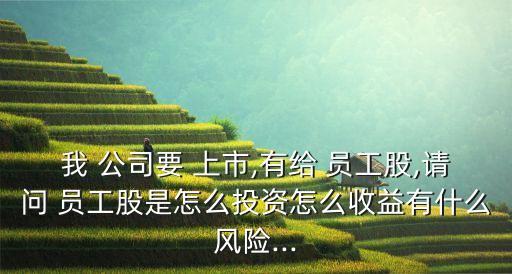 我 公司要 上市,有給 員工股,請(qǐng)問(wèn) 員工股是怎么投資怎么收益有什么風(fēng)險(xiǎn)...