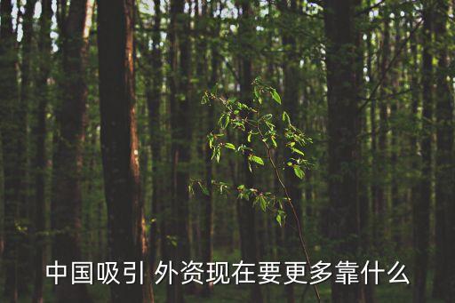 中國吸引 外資現在要更多靠什么