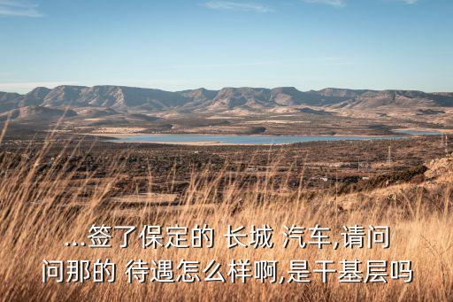 ...簽了保定的 長(zhǎng)城 汽車,請(qǐng)問(wèn)問(wèn)那的 待遇怎么樣啊,是干基層嗎