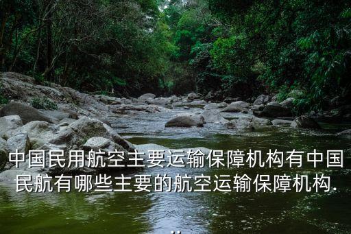 中國民用航空主要運輸保障機構有中國民航有哪些主要的航空運輸保障機構...