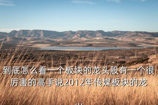 到底怎么看一個(gè)板塊的龍頭股有一個(gè)很厲害的高手說2012年傳媒板塊的龍...