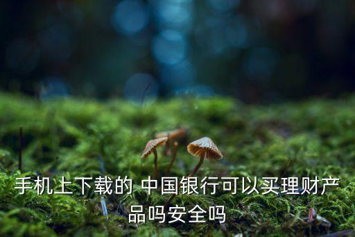 手機(jī)上下載的 中國(guó)銀行可以買理財(cái)產(chǎn)品嗎安全嗎