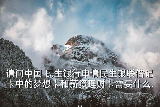 請問中國 民生銀行申請民生銀聯(lián)借記卡中的夢想卡和薪資理財(cái)卡需要什么...