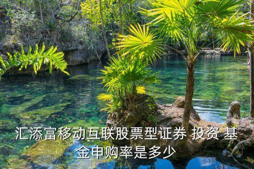 匯添富移動(dòng)互聯(lián)股票型證券 投資 基金申購率是多少