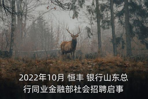 2022年10月 恒豐 銀行山東總行同業(yè)金融部社會(huì)招聘啟事