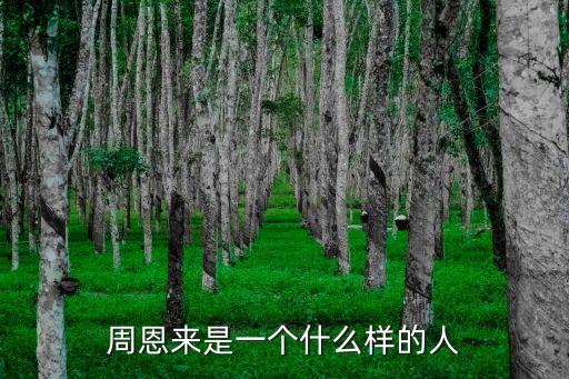 周恩來是一個(gè)什么樣的人