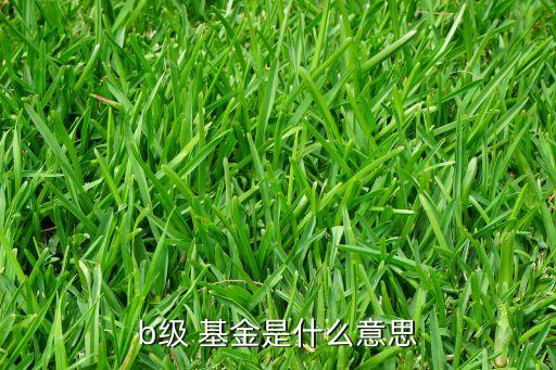 b級(jí) 基金是什么意思