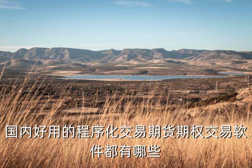 國(guó)內(nèi)好用的程序化交易期貨期權(quán)交易軟件都有哪些
