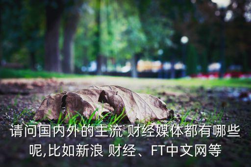請問國內(nèi)外的主流 財(cái)經(jīng)媒體都有哪些呢,比如新浪 財(cái)經(jīng)、FT中文網(wǎng)等