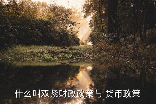 什么叫雙緊財政政策與 貨幣政策