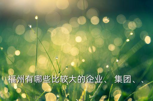 福州有哪些比較大的企業(yè)、 集團(tuán)、、、