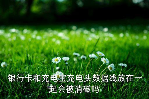 銀行卡和充電寶充電頭數(shù)據(jù)線(xiàn)放在一起會(huì)被消磁嗎