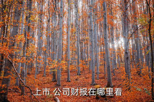  上市 公司財(cái)報(bào)在哪里看