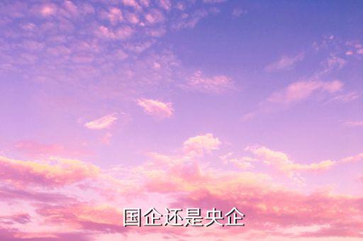 中投公司國(guó)企改革
