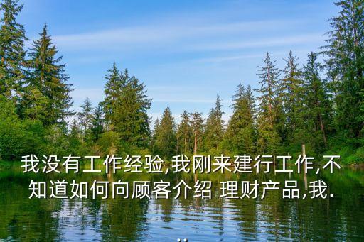 我沒有工作經(jīng)驗(yàn),我剛來建行工作,不知道如何向顧客介紹 理財(cái)產(chǎn)品,我...