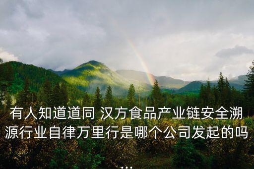 有人知道道同 漢方食品產(chǎn)業(yè)鏈安全溯源行業(yè)自律萬(wàn)里行是哪個(gè)公司發(fā)起的嗎...