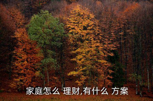家庭理財(cái)投資方案,低收入家庭理財(cái)投資平臺(tái)