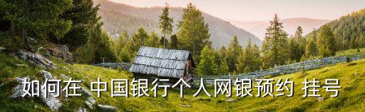 如何在 中國銀行個人網(wǎng)銀預(yù)約 掛號