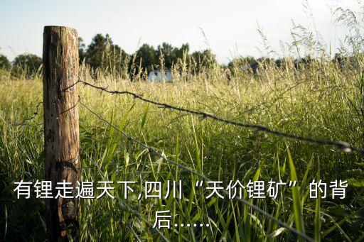 金昌北方國(guó)能鋰業(yè)有限公司