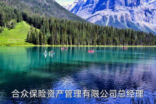 合眾保險資產(chǎn)管理有限公司總經(jīng)理