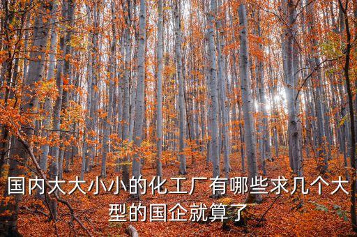 國內(nèi)大大小小的化工廠有哪些求幾個(gè)大型的國企就算了