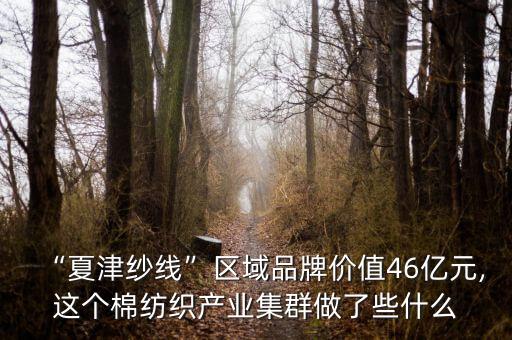 “夏津紗線”區(qū)域品牌價值46億元,這個棉紡織產業(yè)集群做了些什么