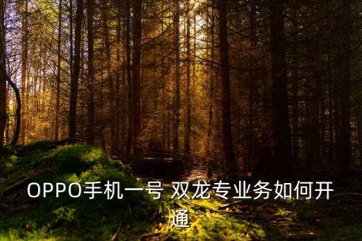 OPPO手機一號 雙龍專業(yè)務如何開通