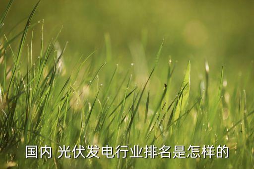 國內 光伏發(fā)電行業(yè)排名是怎樣的