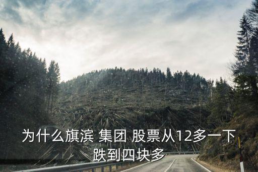 為什么旗濱 集團(tuán) 股票從12多一下跌到四塊多