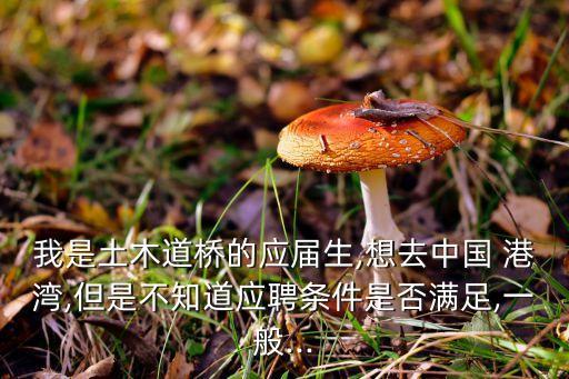 中國(guó)港灣海外