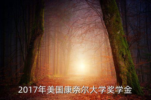 2017年美國康奈爾大學獎學金