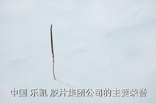 中國 樂凱 膠片集團(tuán)公司的主要榮譽(yù)