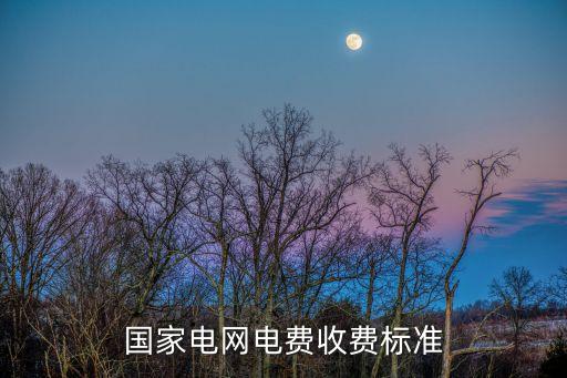 國(guó)家電網(wǎng)電費(fèi)收費(fèi)標(biāo)準(zhǔn)