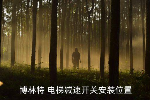 沈陽(yáng)博林特電梯配件有限公司,博林特電梯有限公司怎么樣