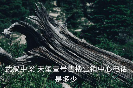 武漢中梁 天璽壹號售樓營銷中心電話是多少