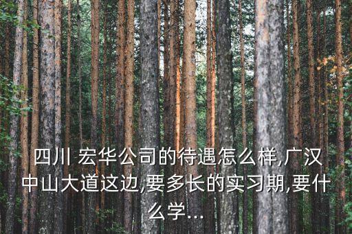  四川 宏華公司的待遇怎么樣,廣漢中山大道這邊,要多長的實(shí)習(xí)期,要什么學(xué)...