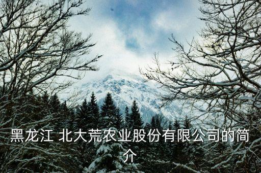 黑龍江 北大荒農業(yè)股份有限公司的簡介