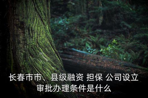 長(zhǎng)春市市、縣級(jí)融資 擔(dān)保 公司設(shè)立審批辦理?xiàng)l件是什么