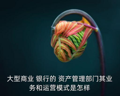 大型商業(yè) 銀行的 資產(chǎn)管理部門其業(yè)務(wù)和運(yùn)營(yíng)模式是怎樣