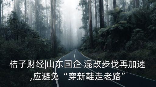 桔子財經|山東國企 混改步伐再加速,應避免“穿新鞋走老路”